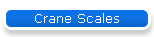 Crane Scales